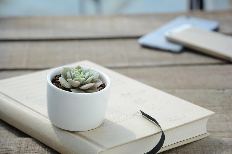 Plant-Inspired Decor