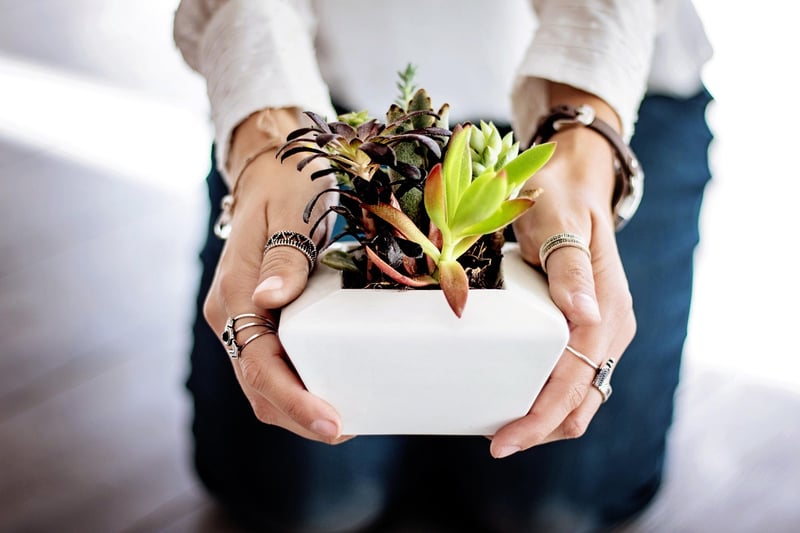 Planters and Vases